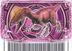 NOVA SURGE 3 GS【1064A017-100】 | TRIPLE DOUBLE K