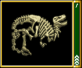 Fire Dinosaur Fossil