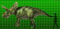 Anchiceratops