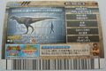 Back of Carnotaurus arcade card (Japanese Gekizan 2nd Edition