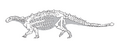 Talarurus skeleton