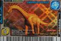 Amargasaurus arcade card (English 2008 Special Edition)