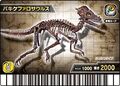 Pachycephalosaurus Skeleton Card 1