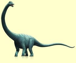 seismosaurus scale