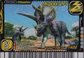 Triceratops Card 9