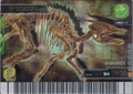 Japanese 2007 4th(+) Edition Fossil card