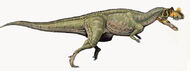 Ceratosaurus. magnicornis