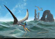 Pteranodon. stenbergi