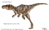 Tuchikurasaurus