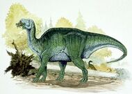 Shantungosaurus