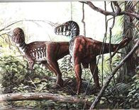 Nanotyrannus