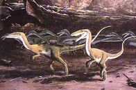 Coelophysis