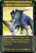 Pachyrhinosaurus Card.