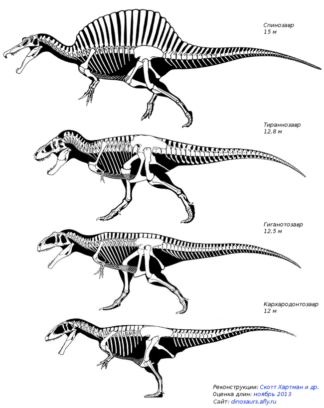 Samoj Bolshoj Hishnyj Dinozavr Dinozavry Melovogo Perioda Viki Fandom