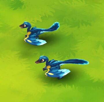 Archaeopteryx coat online