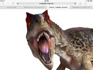 Allosaurus face