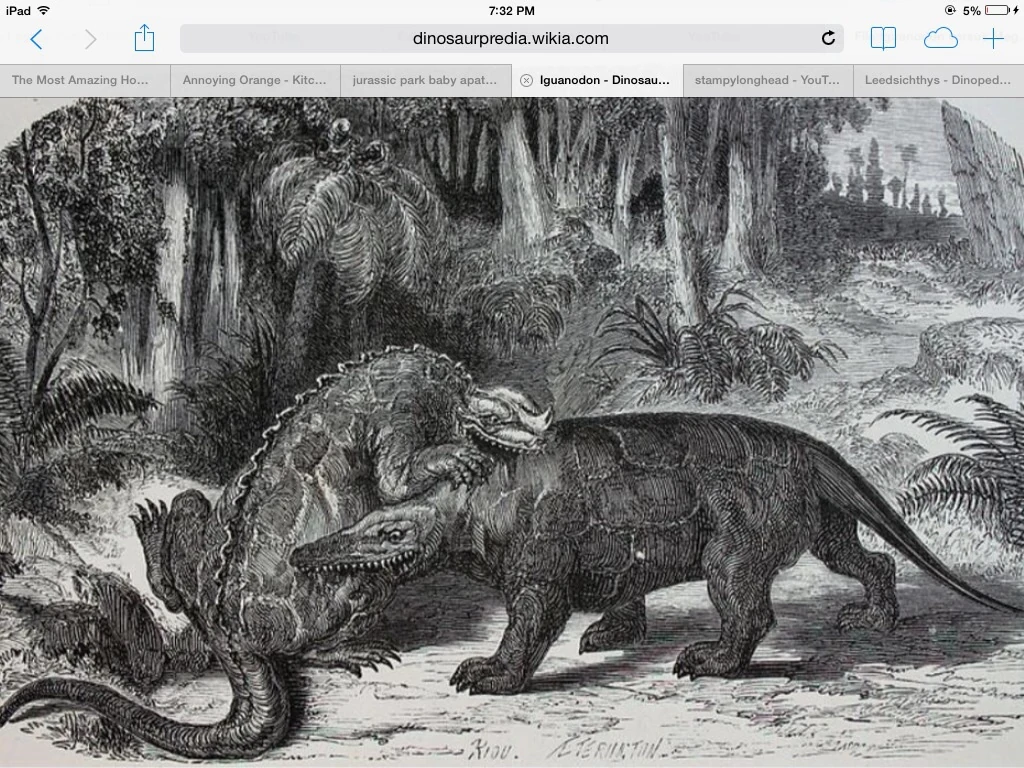 Megalosaurus Dinosaurpredia Wiki Fandom