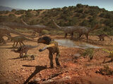 The Watering Hole (episode)