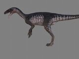 Ornitholestes