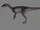 Ornitholestes