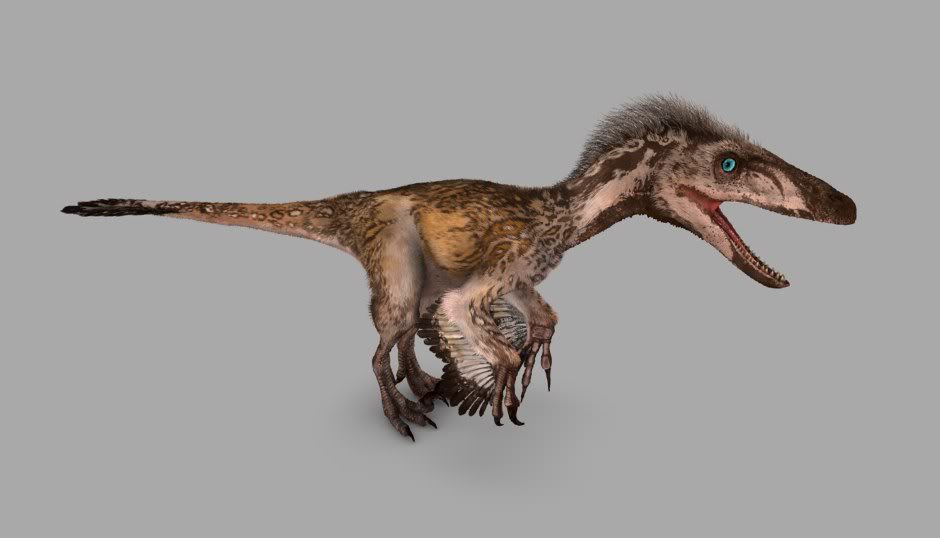 eoraptor dinosaur revolution