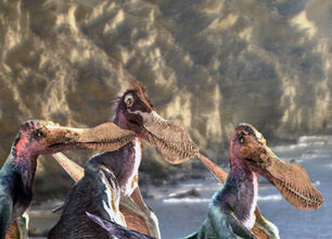 Ep3-anhanguera-05-1-.jpg