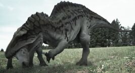 Dinotasia cameo