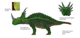 Female Concept