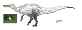 DR Suchomimus