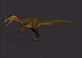 Color Morph 1