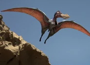 Ep3-anhanguera-04-1-.jpg (45 KB)