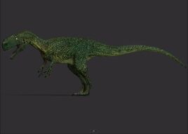 Camouflage Color Morph