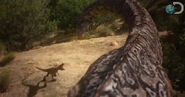 Dinosaur Revolution vs. Deadly Tail Whip 1-1-