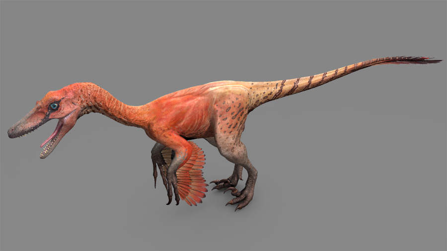 eoraptor dinosaur revolution