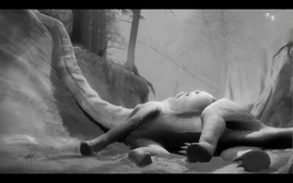 DR Unidentified Sauropod