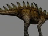 Miragaia
