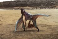 Beaky, pinched by a crab.