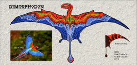 DR Dimporphodon