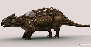 Ankylosaurus
