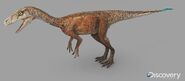 Eoraptor female