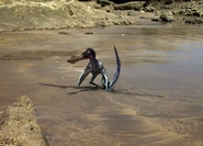 Ep3-anhanguera-06-1-.jpg (81 KB)