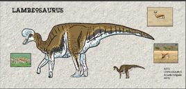 DR Lambeosaurus