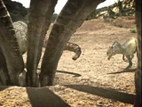 Lusotitan