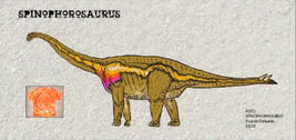 DR Spinophorosaurus
