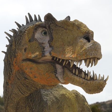 Broken Jaw is a male Allosaurus... 