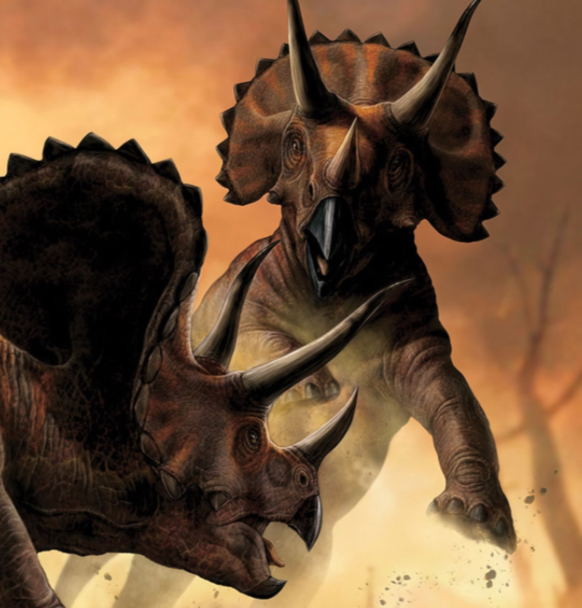 Triceratops | Dinosaurs Battle World Championship Wiki | Fandom