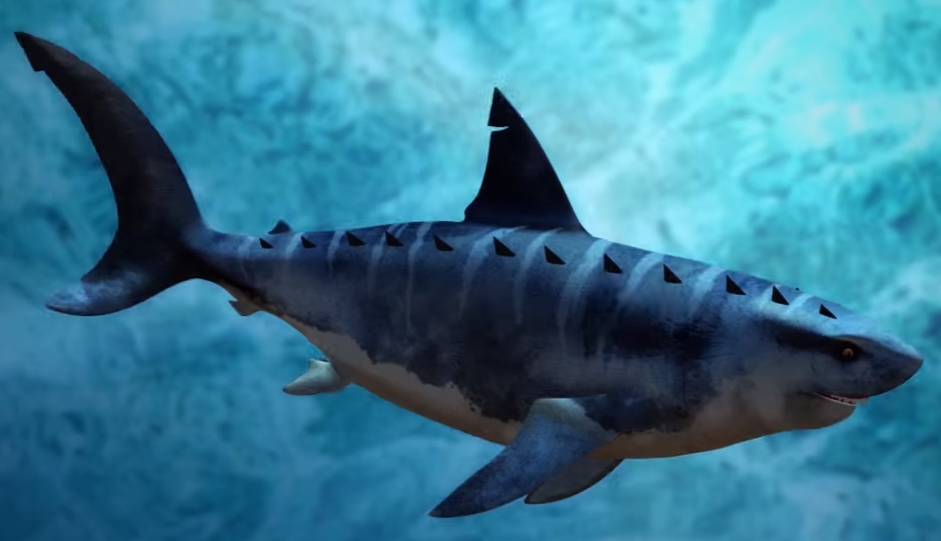 Megalodon | Dinosaurs Battle World Championship Wiki | Fandom