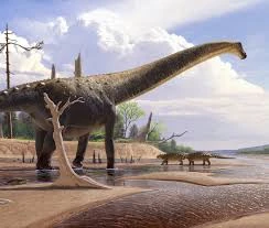 Abdarainurus | Dinosaurs Fanmade Wiki | Fandom