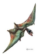 Anurognathus 4a4d