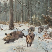 E5a1f3709733afafd2551a3be8a46b91.jpg (182 KB) E5a1f3709733afafd2551a3be8a46b91